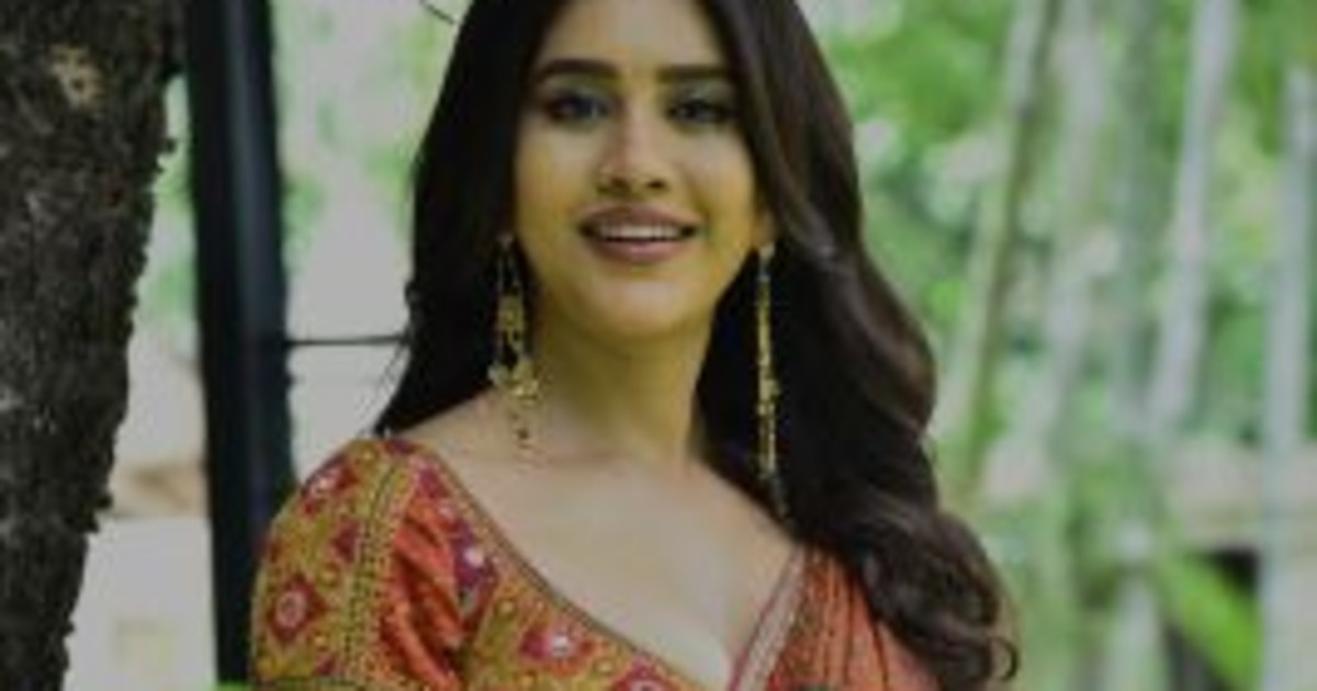 Heroine Nabha Natesh Press Meet