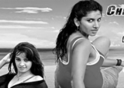 Check Mate Movie Nizam Theaters List
