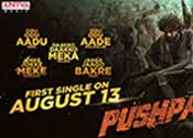 Pushpa Movie First Song Announcement video