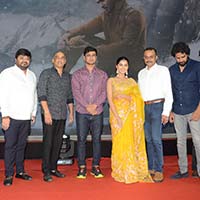 Karthikeya2 Movie Success Meet Video
