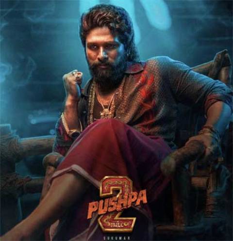 Pushpa 2 The Rule Movie 19 Days Worldwide Share