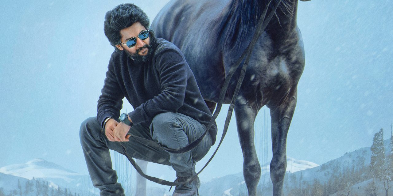 HIT 3 Movie Nizam Theaters List